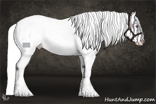 Horse Color:Silver Bay Chinchilla Splash Appaloosa 