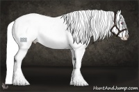 Horse Color:Silver Bay Chinchilla Splash Appaloosa 