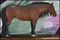 Horse Color:Bay Roan Rabicano