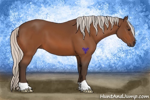 Horse Color:Silver Bay 