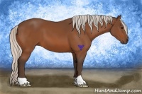 Horse Color:Silver Bay 