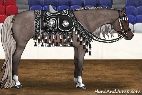 Horse Color:Silver Brown Roan 