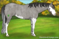 Horse Color:Smoky Grullo Roan Splash Frame 