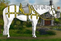 Horse Color:White Spotted Palomino Blanket 