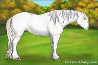 Horse Color:White Spotted Silver Black Pearl Sabino