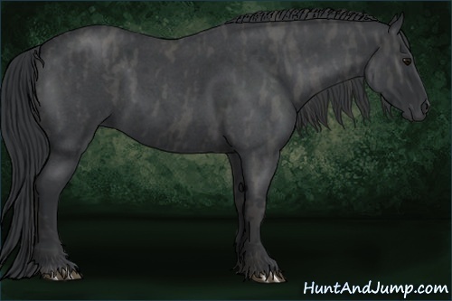 Horse Color:Blue Roan Brindle