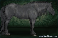 Horse Color:Blue Roan Brindle