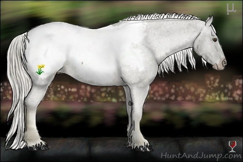 Horse Color:Chocolate Palomino Mushroom Snowcap Rabicano