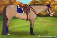 Horse Color:Amber Champagne