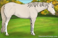 Horse Color:Smoky Creme 