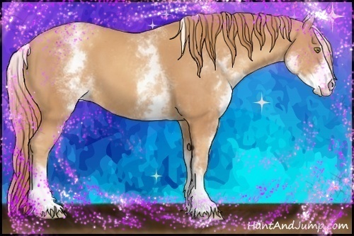 Horse Color:White Spotted Gold Champagne Sabino
