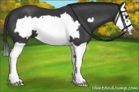 Horse Color:Black Splash Frame