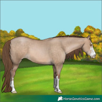 Horse Color:Brown Pearl Dun