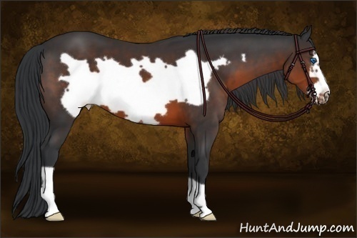 Horse Color:Brown Frame