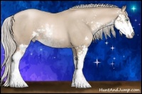 Horse Color:Chocolate Palomino Pearl Sabino 