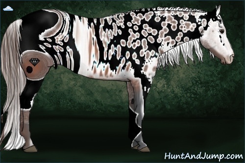 Horse Color:ERROR: UNKNOWN ANOMALY