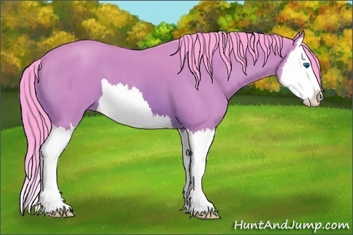 Horse Color:Watercolor Bay Roan Splash