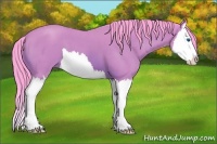 Horse Color:Watercolor Bay Roan Splash