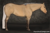 Horse Color:Silver Bay Dun 