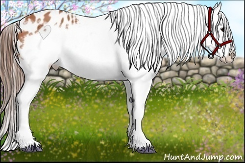 Horse Color:Bay Splash Frame Snowflake Varnish 