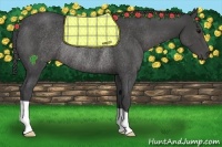 Horse Color:Smoky Black Rabicano 