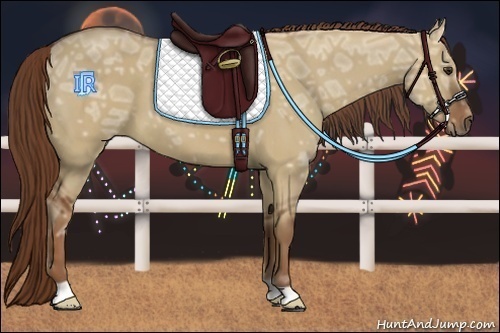 Horse Color:Red Dun Ice 