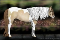 Horse Color:Grullo Pearl Sabino Tobiano 