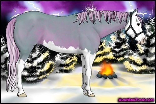 Horse Color:Watercolor Red Roan Splash 