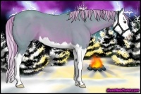 Horse Color:Watercolor Red Roan Splash 
