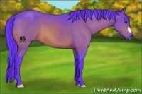 Horse Color:Watercolor Buckskin 