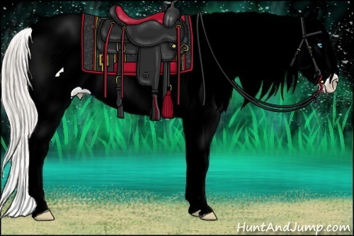 Horse Color:Chocolate Palomino Ice Pearl Sabino Appaloosa 