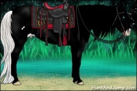 Horse Color:Chocolate Palomino Ice Pearl Sabino Appaloosa 