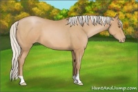 Horse Color:Silver Brown Pearl