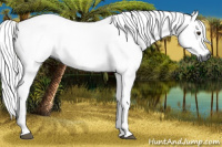Horse Color:Gray Watercolor Chestnut Sabino 