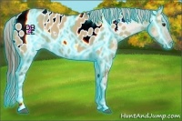 Horse Color:Thunderstruck Red Dun Tobiano Appaloosa 