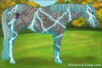 Horse Color:Thunderstruck Silver Black Ice