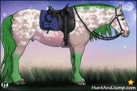 Horse Color:Watercolor Bay Ice 