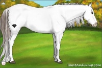 Horse Color:Liver Chestnut Sabino Blanket 