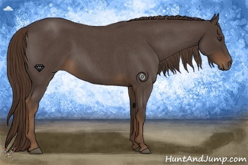 Horse Color:Liver Red Roan