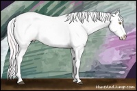 Horse Color:Watercolor Silver Brown Pearl Tobiano Near Leopard 