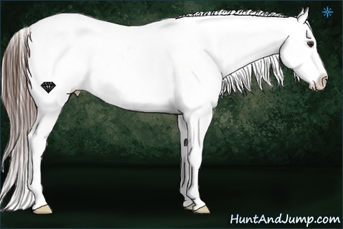 Horse Color:Liver Chestnut Sabino Snowflake Varnish
