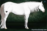 Horse Color:Liver Chestnut Sabino Snowflake Varnish