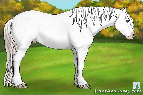 Horse Color:Chocolate Palomino Roan Splash Frame Varnish