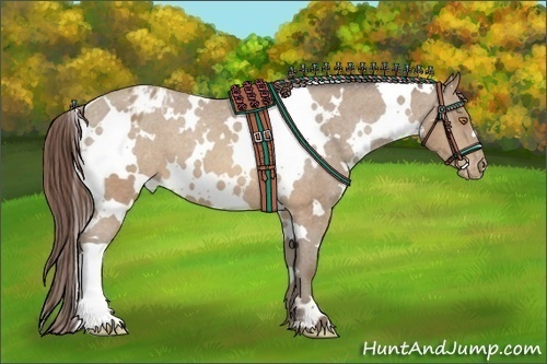 Horse Color:White Spotted Sable Champagne Appaloosa 