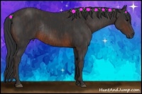 Horse Color:Brown Rabicano Brindle