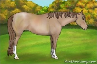 Horse Color:Black Pearl