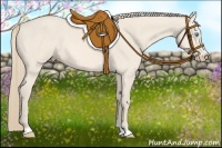 Horse Color:Perlino 