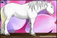 Horse Color:Watercolor Buckskin Pearl Splash Blanket