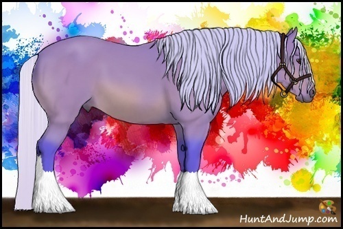 Horse Color:Watercolor Silver Buckskin 