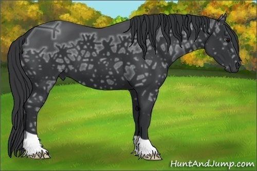 Horse Color:Black Ice 